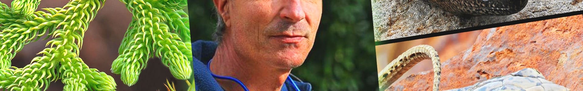 RENCONTRE – DÉDICACES avec Philippe MARTIN