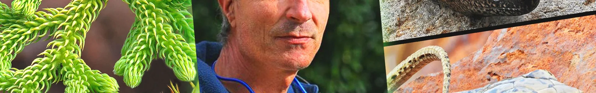 RENCONTRE – DÉDICACES avec Philippe MARTIN