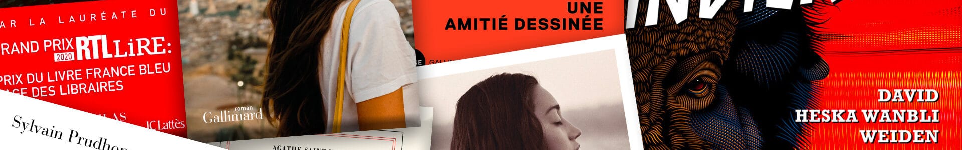 La News des livres – (Volume 15)